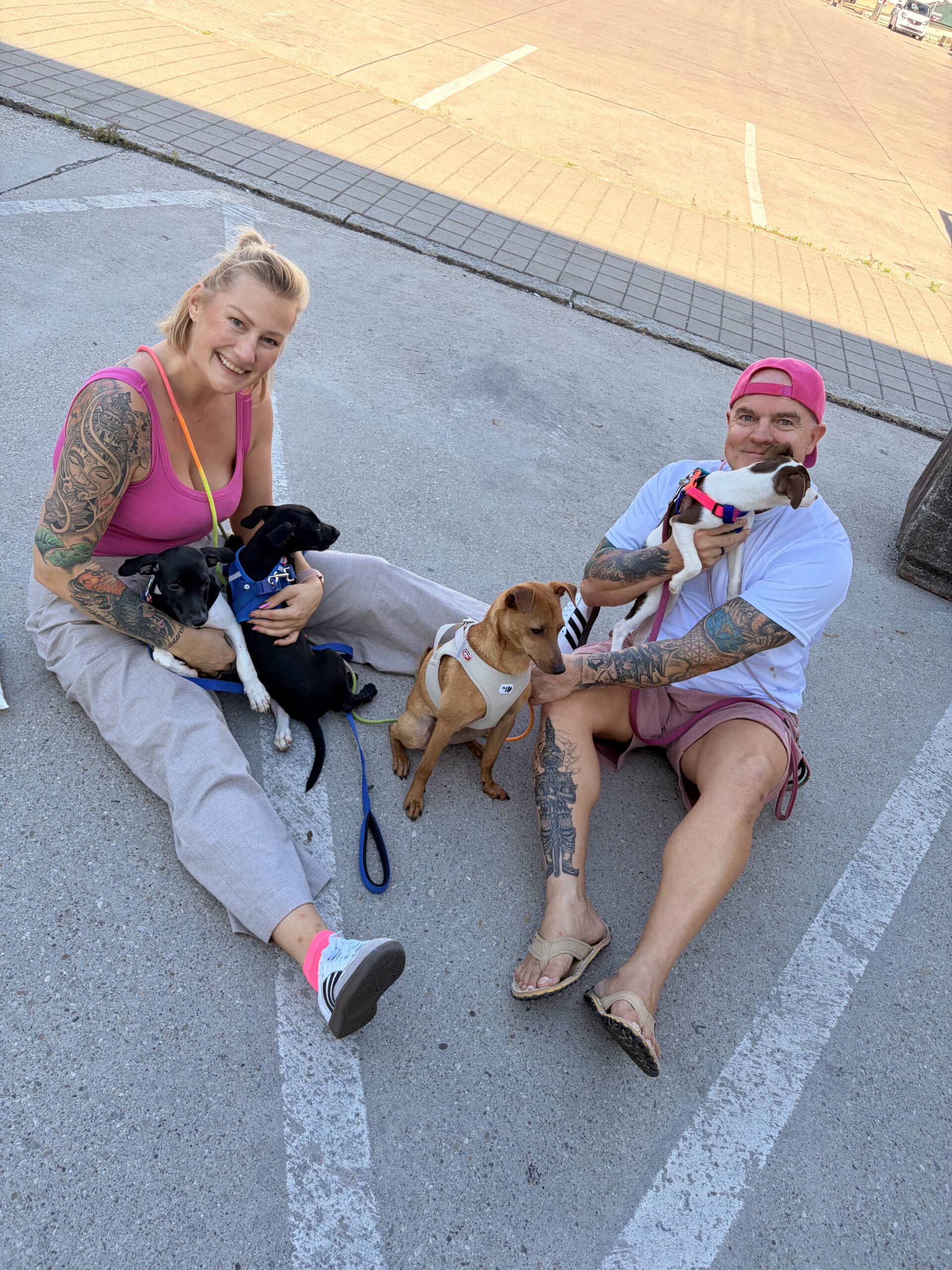 Sabine und Sven Beermann mit ihren Hunden