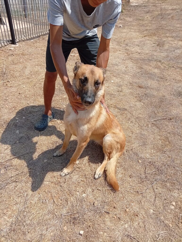KAYA