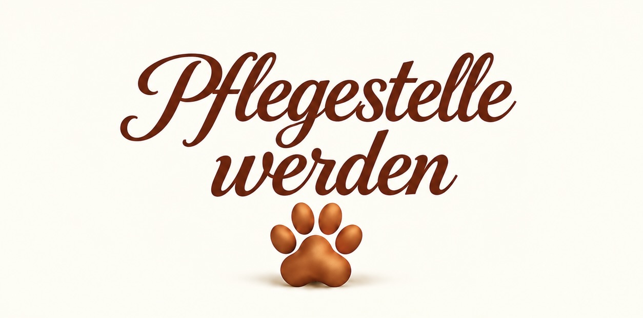 Pflegestelle werden