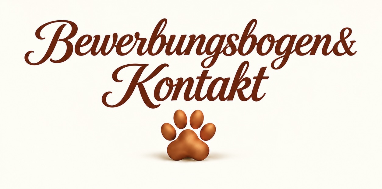 Bewerbungsbogen und Kontakt