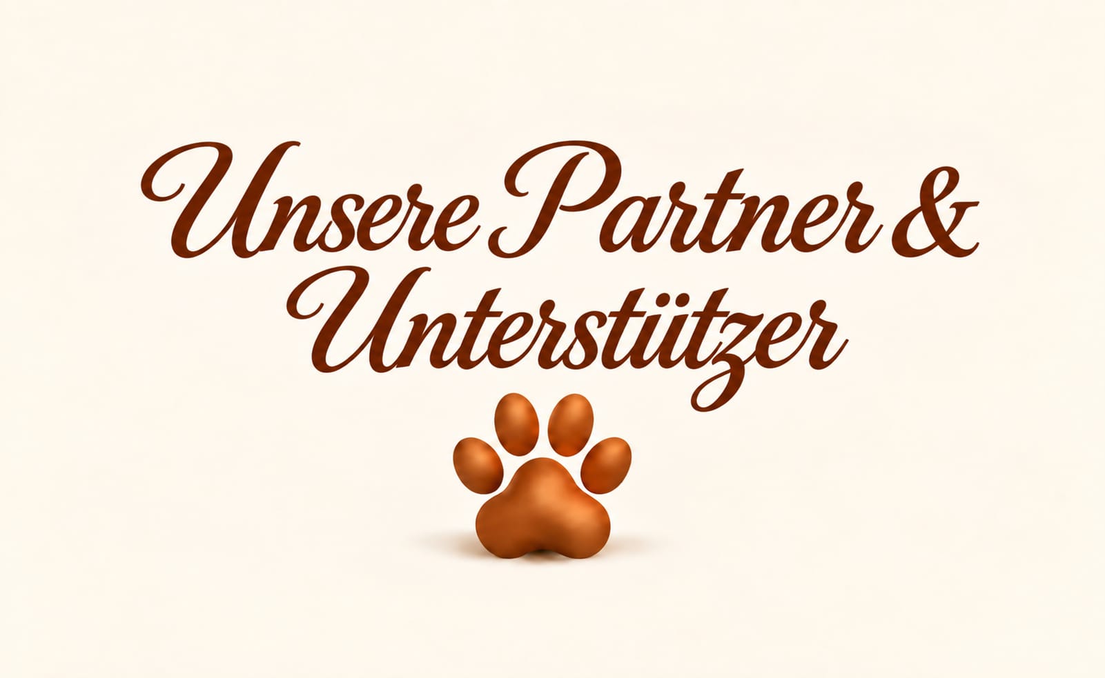 Partner und Unterstützer